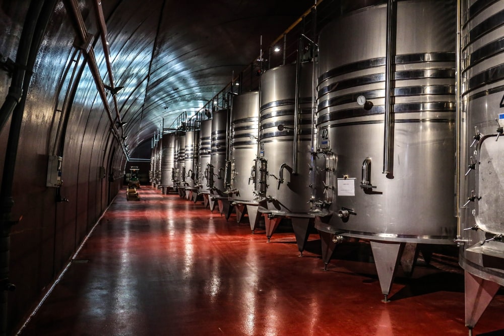 hvordan laves vin - fermentering